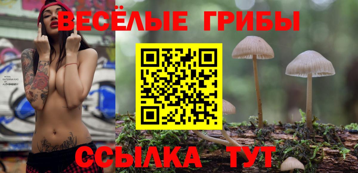 Астрахань  Псилоцибиновые грибы Magic Shrooms  Вход с VPN 